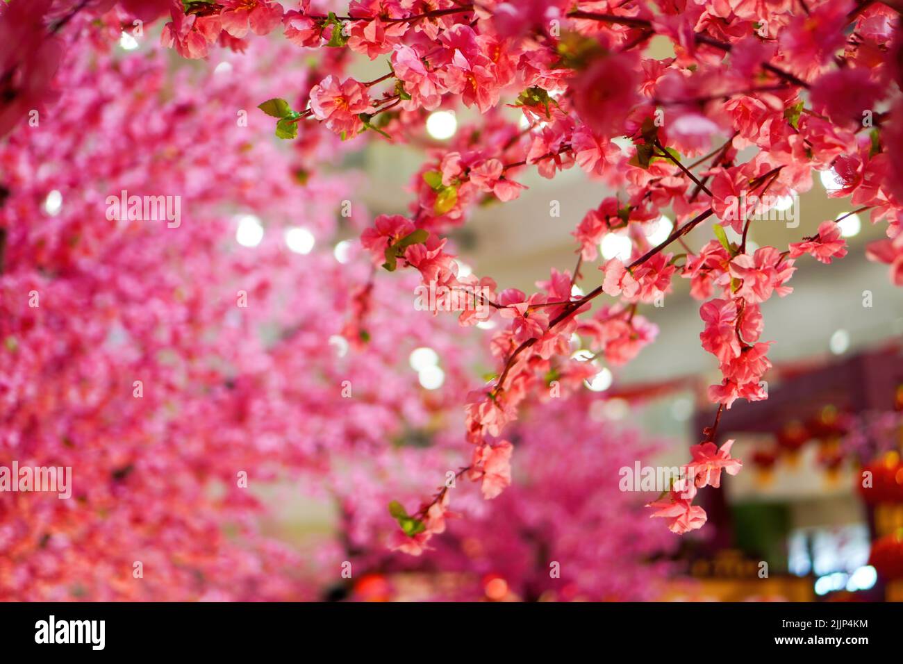 Die chinesische Neujahrsblüte ist eine gefälschte Blütenpflaumenblume Stockfoto