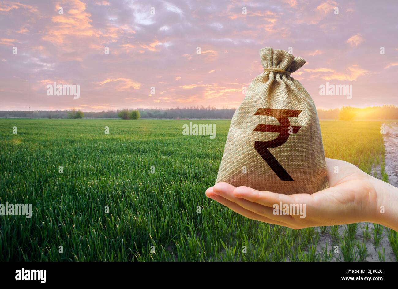 Grünes Wiesenfeld aus jungem Weizen und indischer Rupie Geldbeutel. Hunger in der Welt. Getreidekörner Defizite. Hunger. Agroindustrie und der landwirtschaftliche Bus Stockfoto