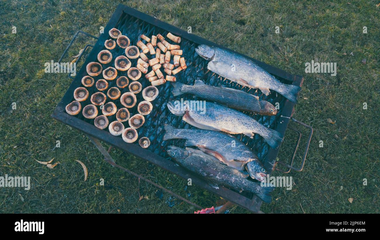 Eine Nahaufnahme eines Grills mit Fisch und Pilzen im Hinterhof Stockfoto