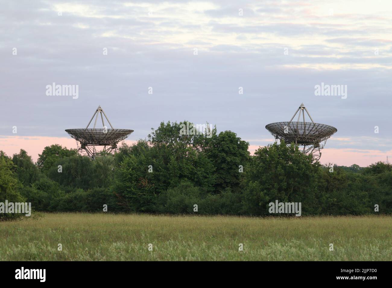 Zwei der One-Mile Telescope Antennen, die zusammen hinter einer Reihe von Bäumen am Mullard Radio Astronomy Observatory, Cambridge, gesehen werden Stockfoto