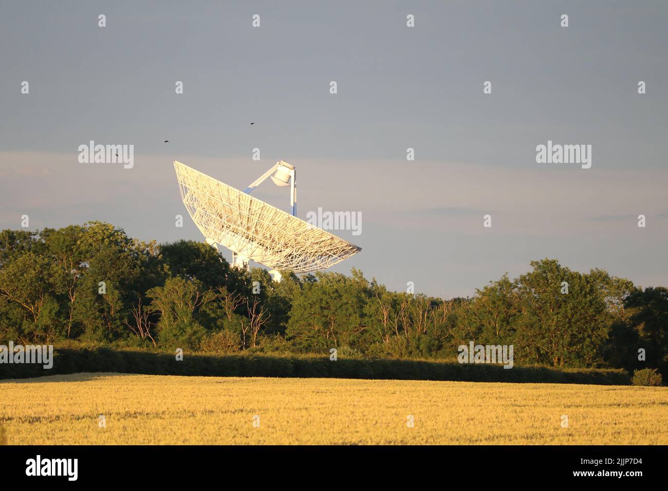 Der e-Merlin Empfänger der Universität Cambridge wurde bei Sonnenuntergang am Mullard Radio Astronomy Observatory angesehen Stockfoto