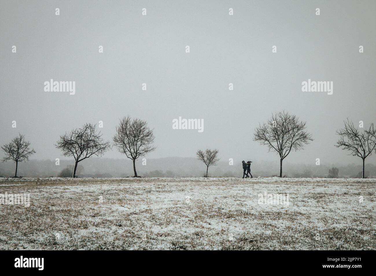 Ein Paar, das auf einem schneebedeckten Feld läuft Stockfoto