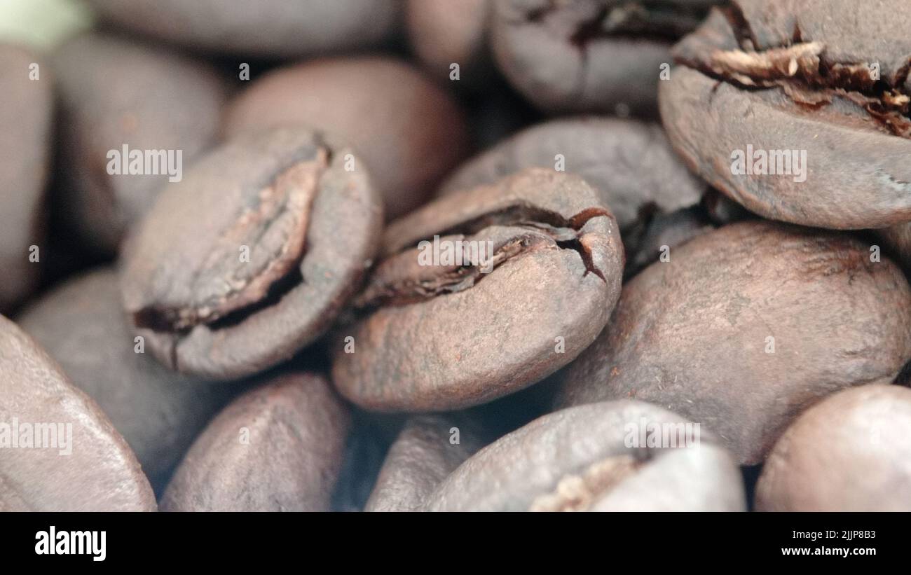 Die Nahaufnahme der Kaffeesamen Stockfoto