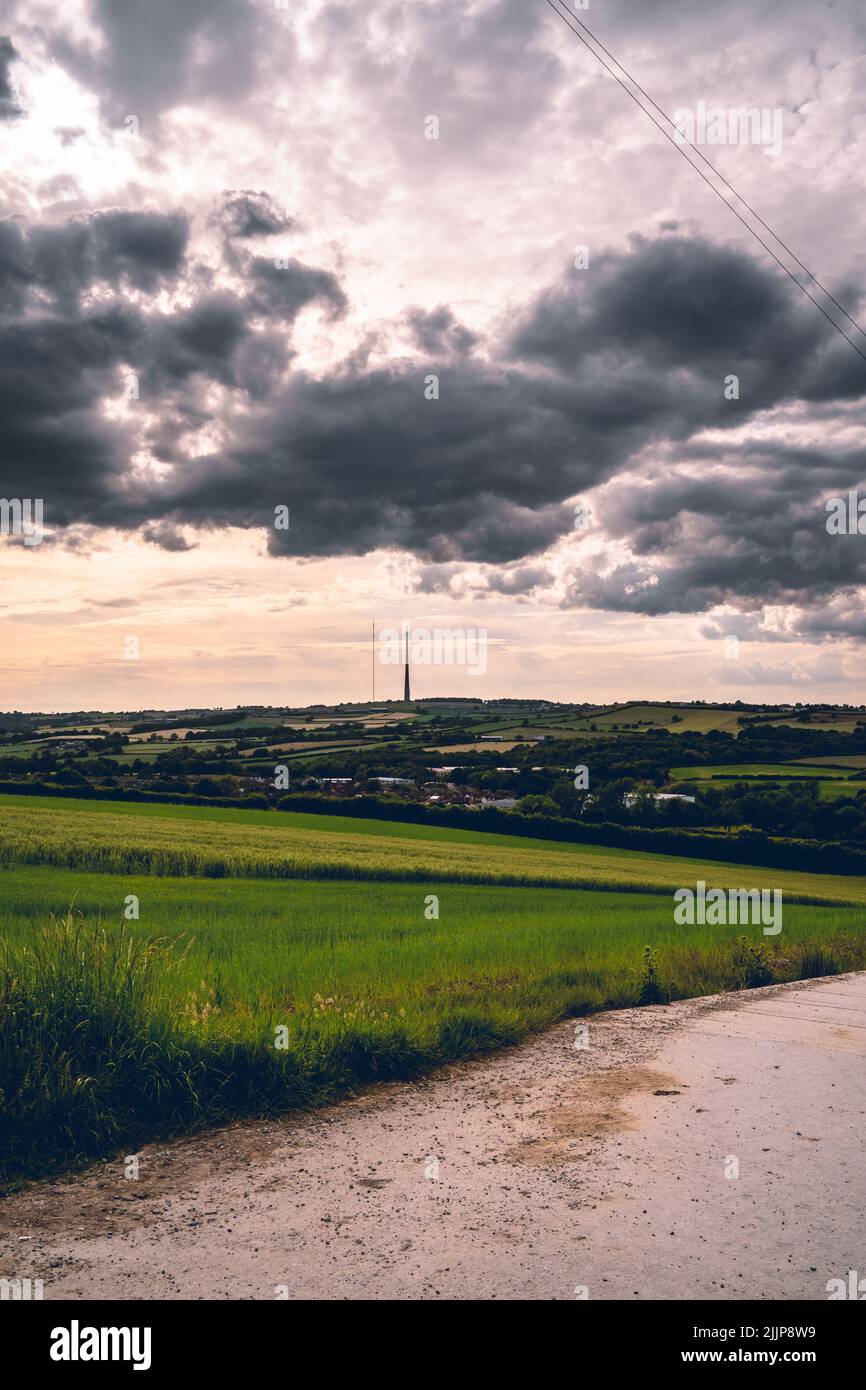 Das Feld auf dem Bauernhof an einem bewölkten Tag im Sommer die grünen Hügel im Hintergrund Stockfoto