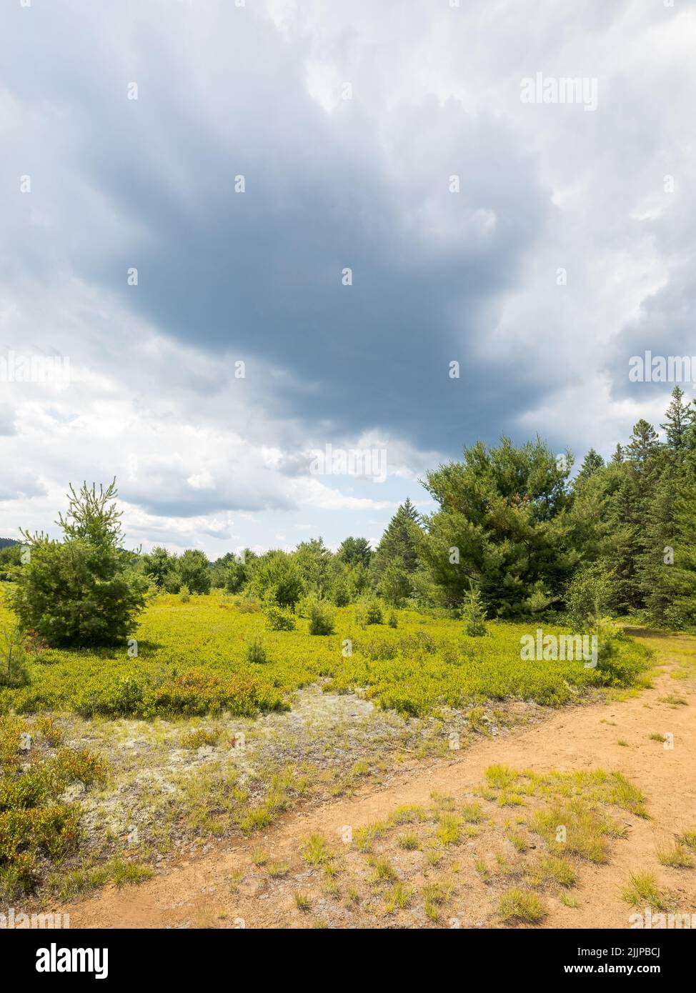 Im Algonquin Park, Ontario, sammeln sich im Sommer Sturmwolken Stockfoto