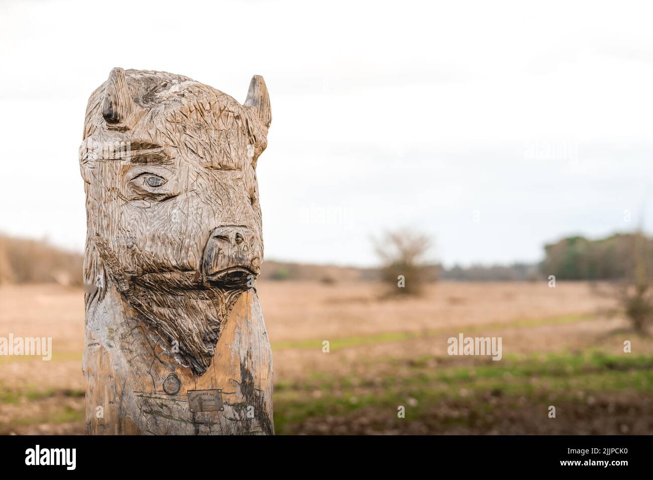 Eine Nahaufnahme einer hölzernen Statue eines Tieres Stockfoto