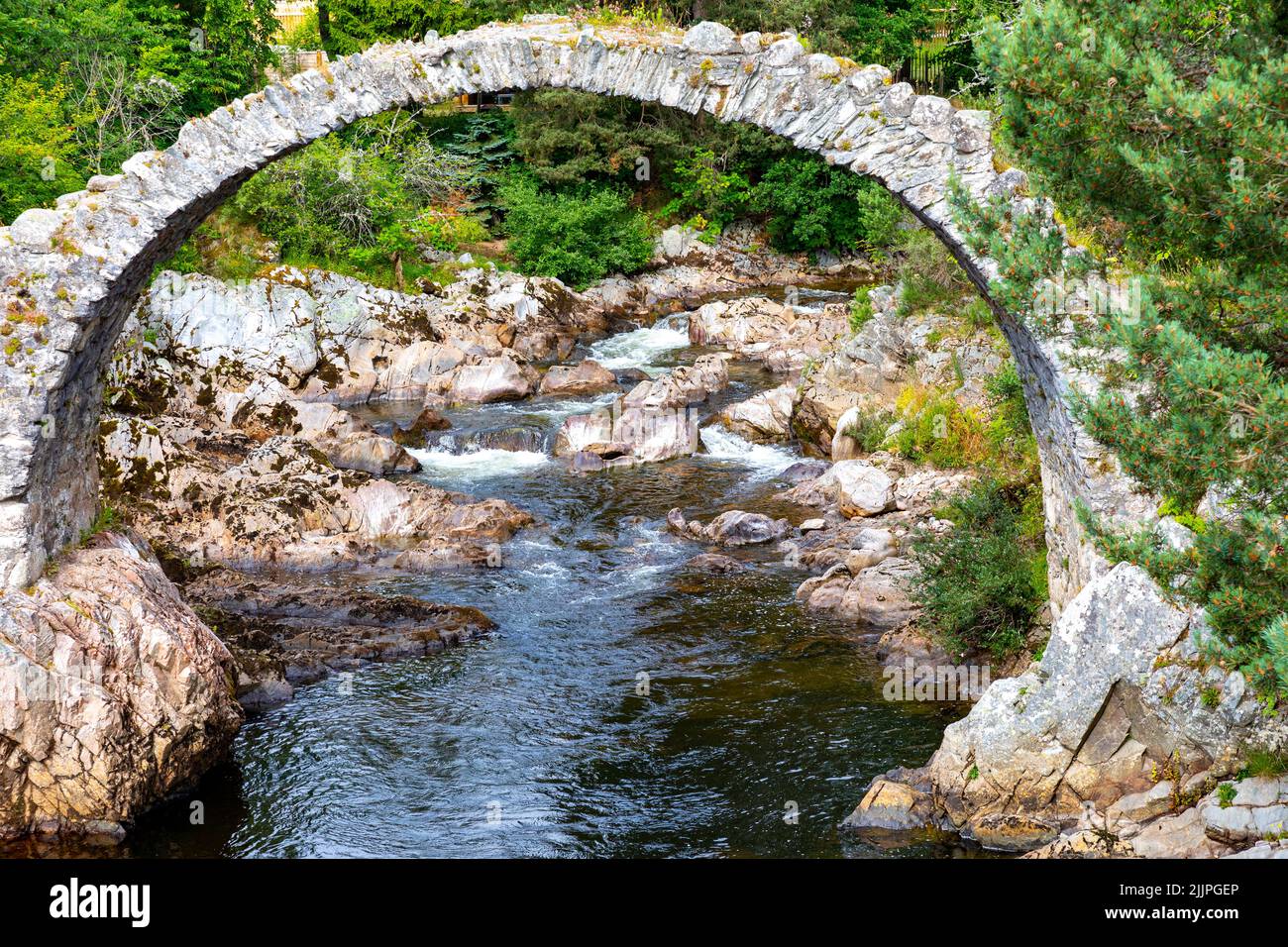 Carrbridge Scotland, historisches Dorf im Cairngorms National Park mit der ältesten Steinbrücke im Hochland, River dulnain Running, Schottland, Großbritannien Stockfoto