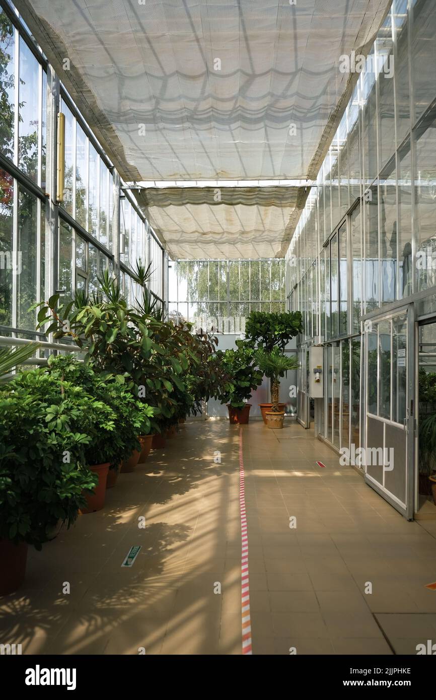 Eine vertikale Aufnahme verschiedener Pflanzen in einem botanischen Innengarten des IASO Stockfoto