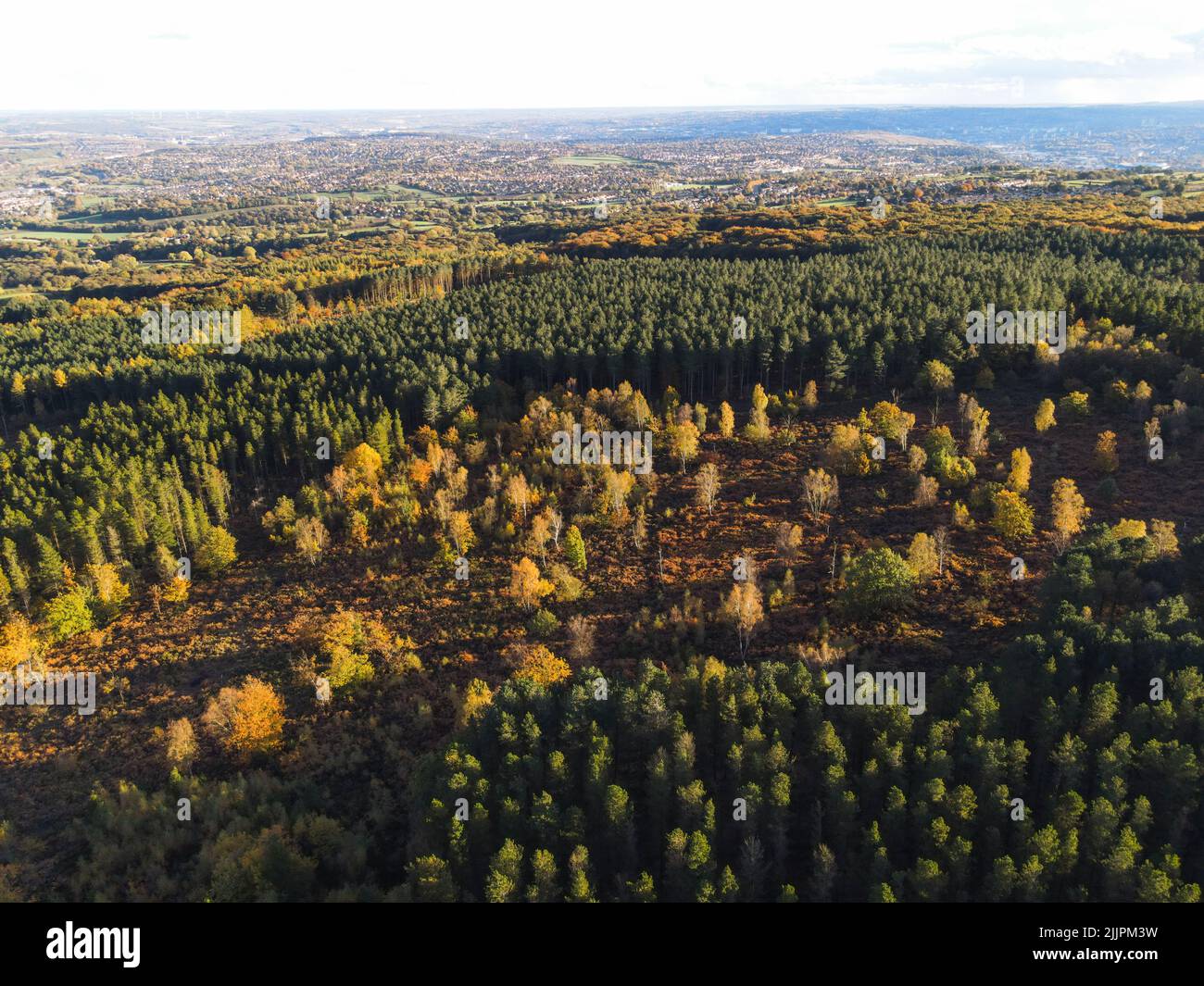 Eine Drohnenaufnahme eines Herbstwaldes voller schöner Bäume. Stockfoto