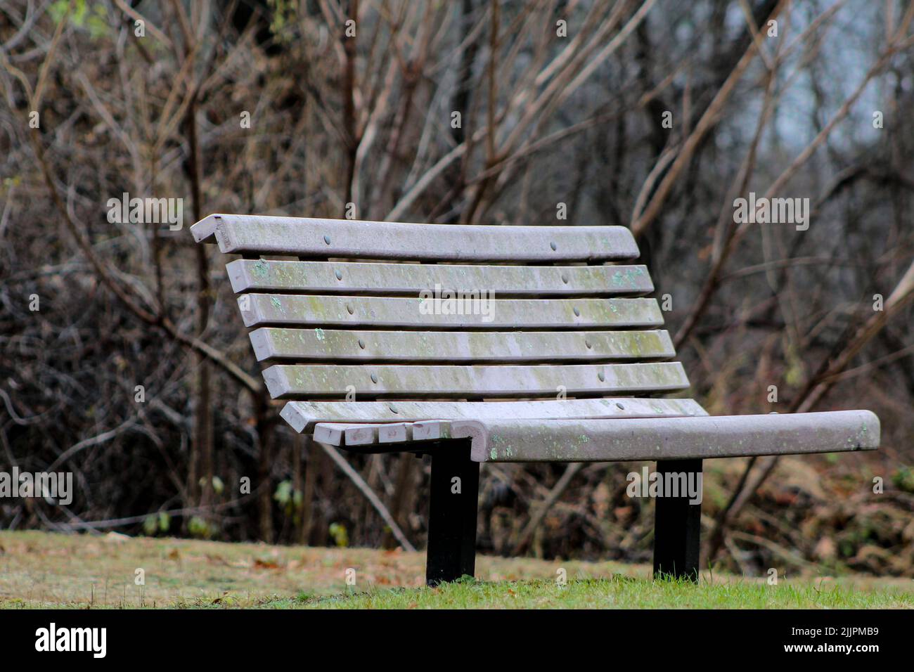 Eine Nahaufnahme einer leeren Bank in der Mitte eines Parks oder eines Waldes auf dem Hintergrund von Bäumen Stockfoto