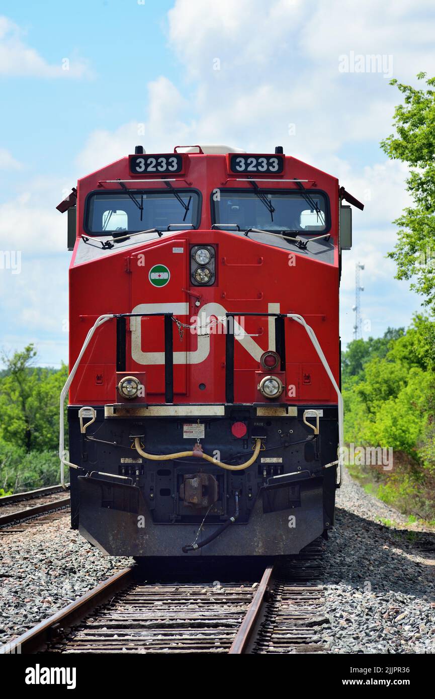 Bartlett, Illinois, USA. Die Lokomotiven der Canadian National Railway, die von einer speziell lackierten Einheit zu Ehren von Veteranen angeführt werden, warten auf eine Besatzung. Stockfoto