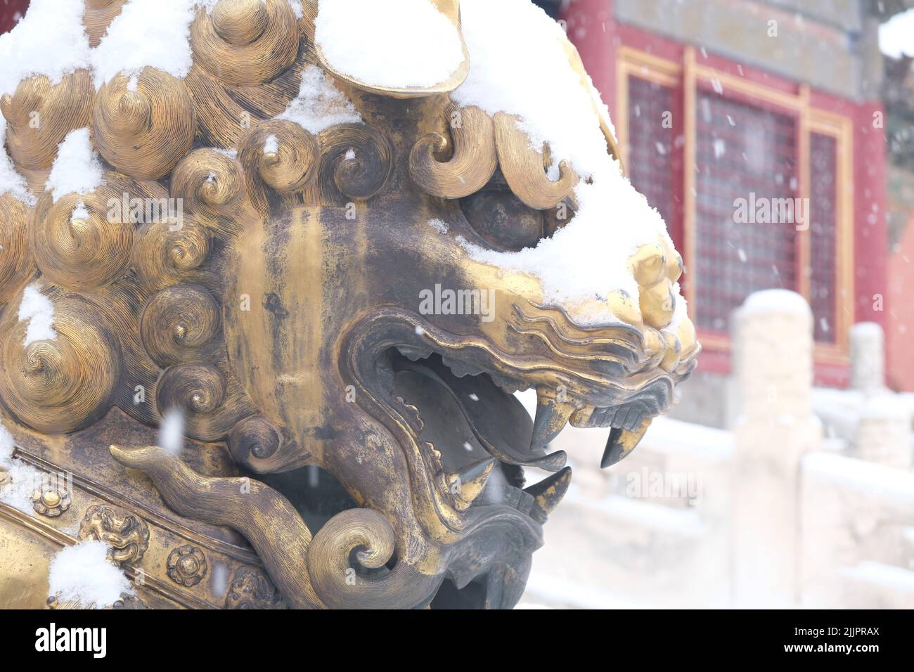 Nahaufnahme von Bronzelöwen steht in schwerem Schnee im Frühjahr, Verbotene Stadt, Peking, China. Stockfoto