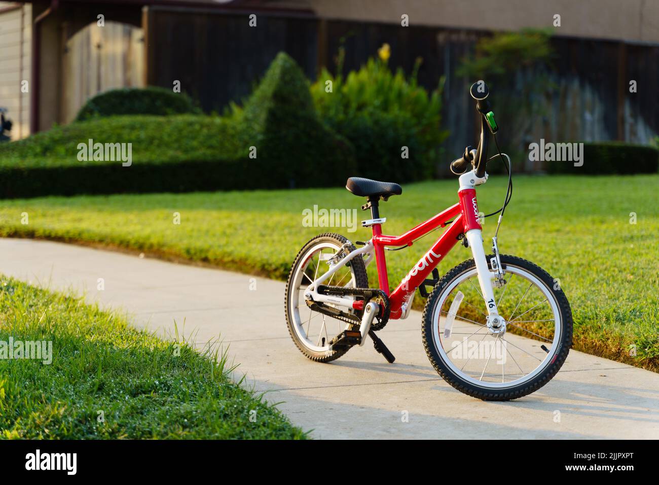 Nahaufnahme eines kleinen roten Kinderfahrrads auf einem Bürgersteig in einem Park Stockfoto