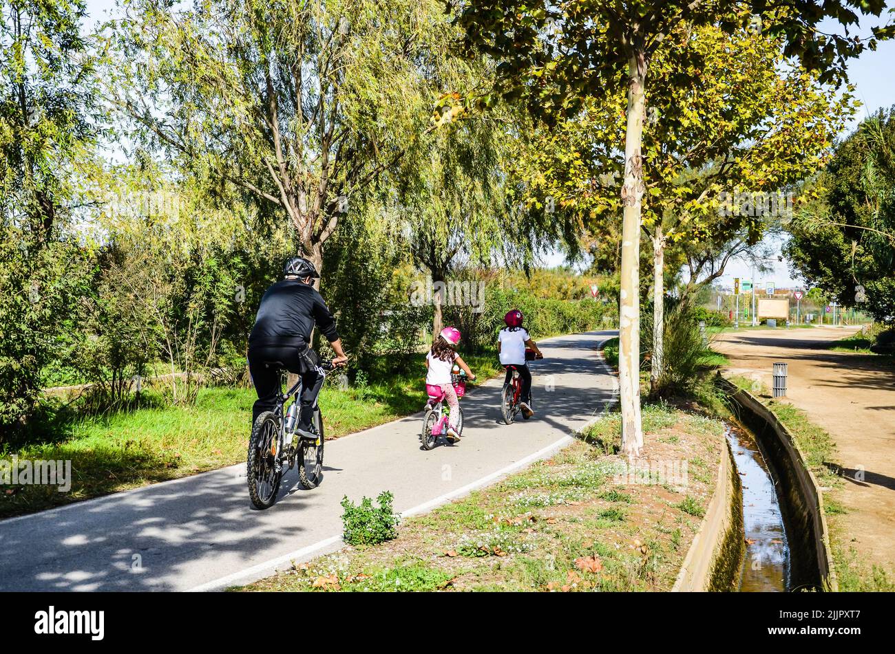 Ein Vater, der mit Töchtern in einem Park Fahrrad fährt Stockfoto