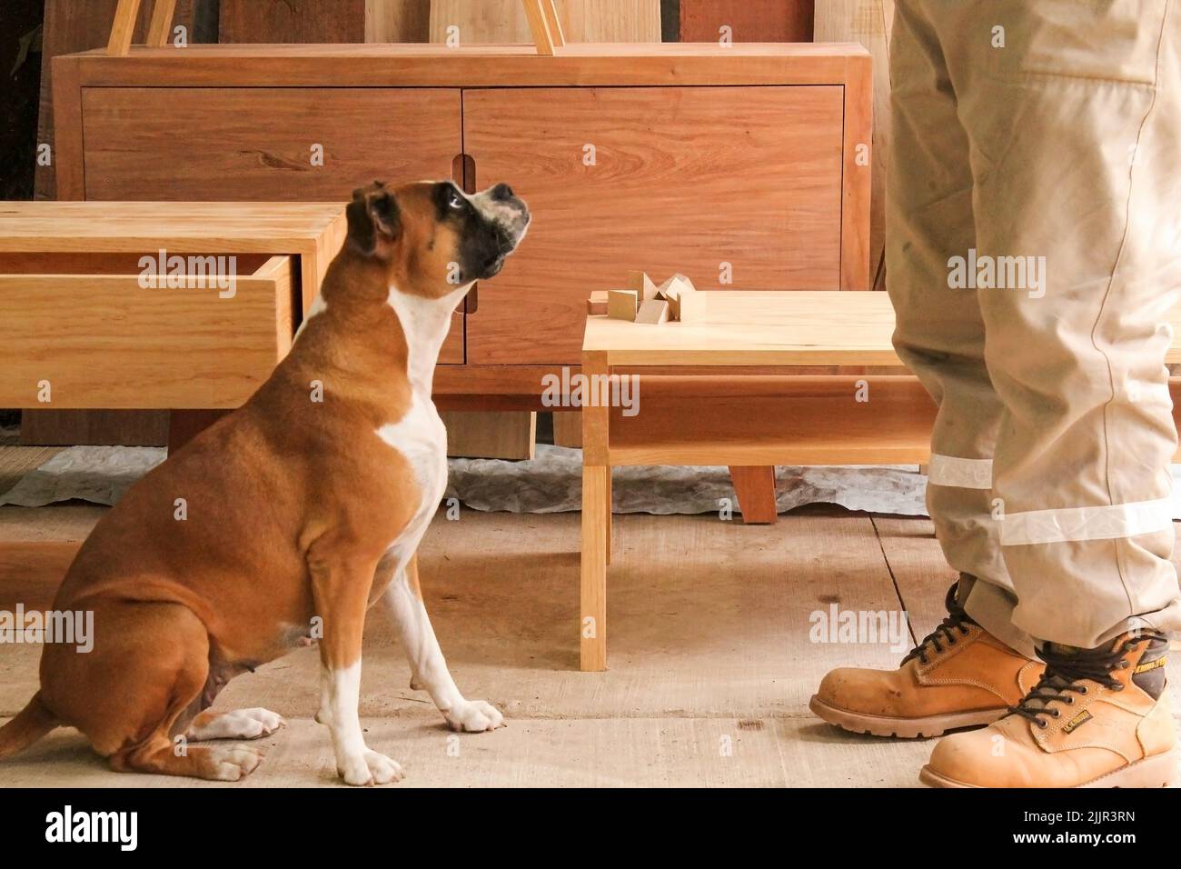 Männerbeine in brauner Jeans mit orangen Wanderstiefeln, die auf der Zimmerei stehen Stockfoto