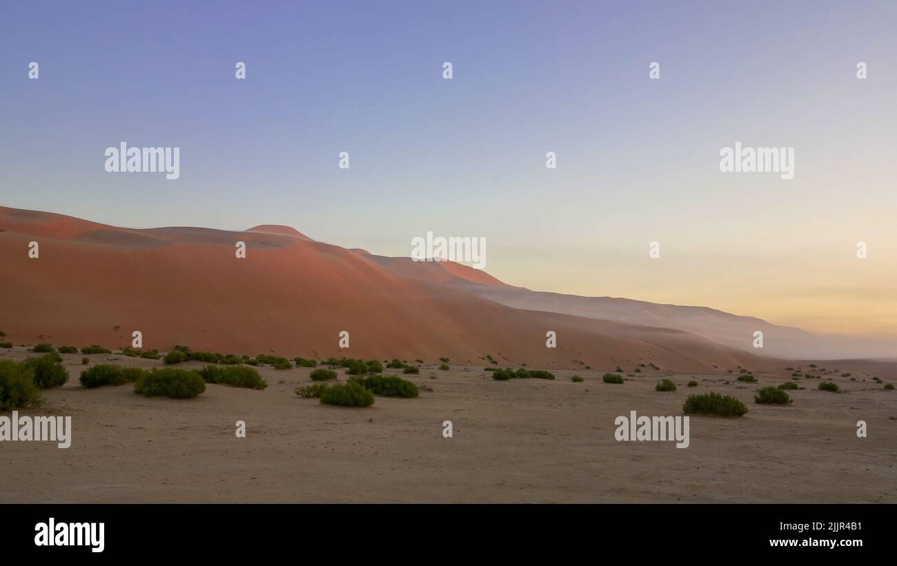 Am frühen Morgen kriecht Nebel durch die Dünen aus einem leeren Quarter Desert Valley, Abu Dhabi, Vereinigte Arabische Emirate Stockfoto