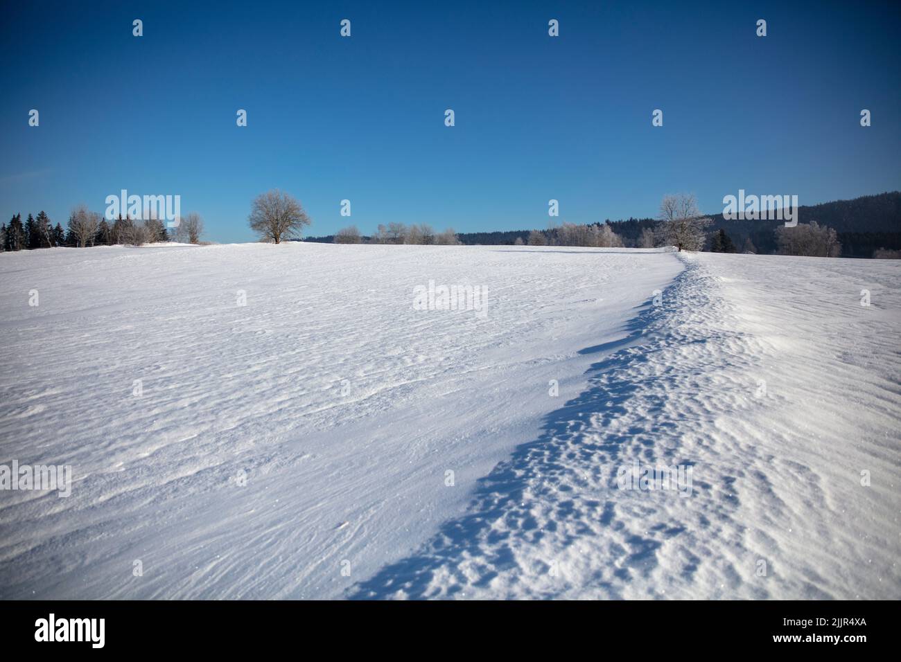 Schnee- und eisbedecktes Feld im Bayerischen Wald Stockfoto
