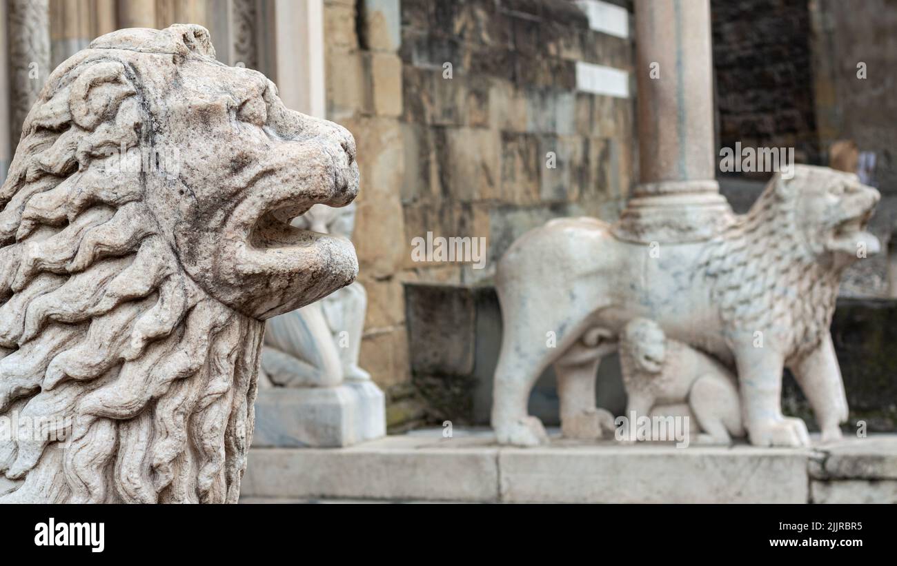 Eine Löwenskulptur in der Basilica di Santa Maria Maggiore Stockfoto