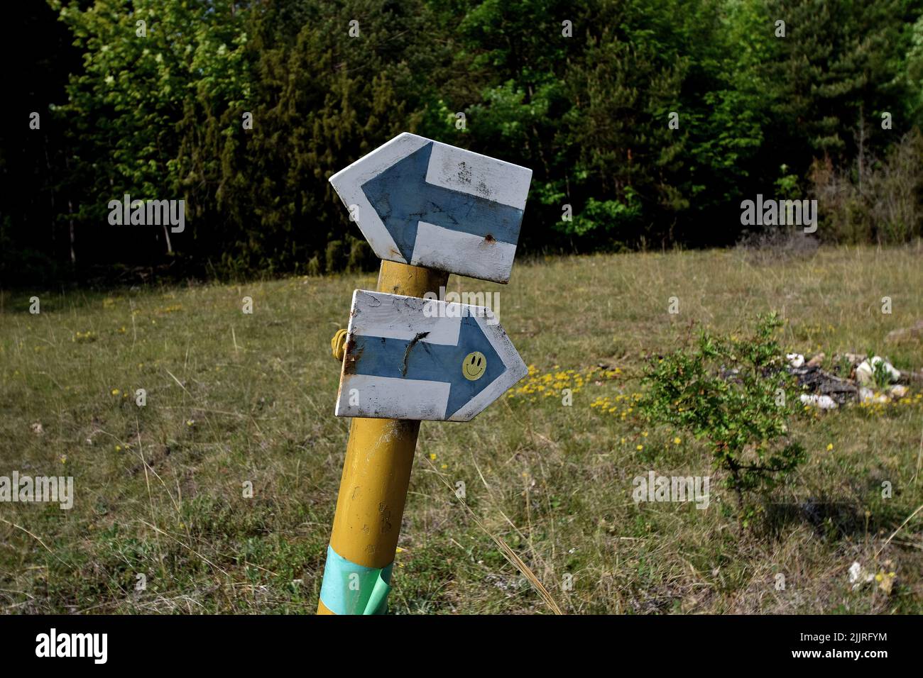Eine Säule mit zwei blauen Pfeilen, die zwei Richtungen auf dem Feld mit grünen Bäumen zeigen Stockfoto