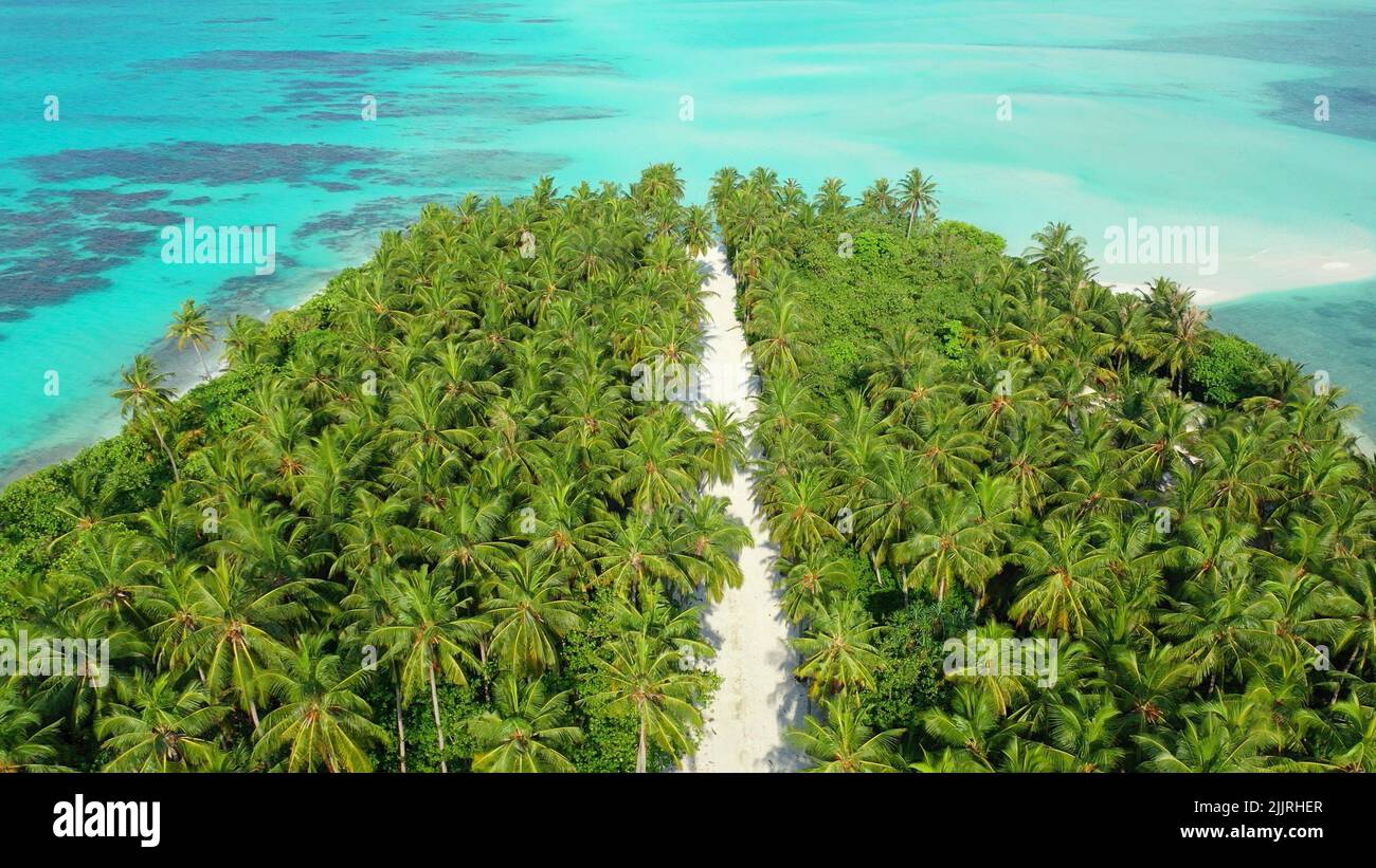Eine Drohnenaufnahme einer unberührten tropischen Insel mit Palmen Stockfoto