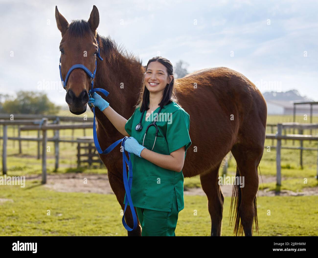 Ein weiterer Tag, ein weiterer glücklicher Kunde. Ein junger Tierarzt legt auf einem Bauernhof einen Verband auf ein Pferd. Stockfoto