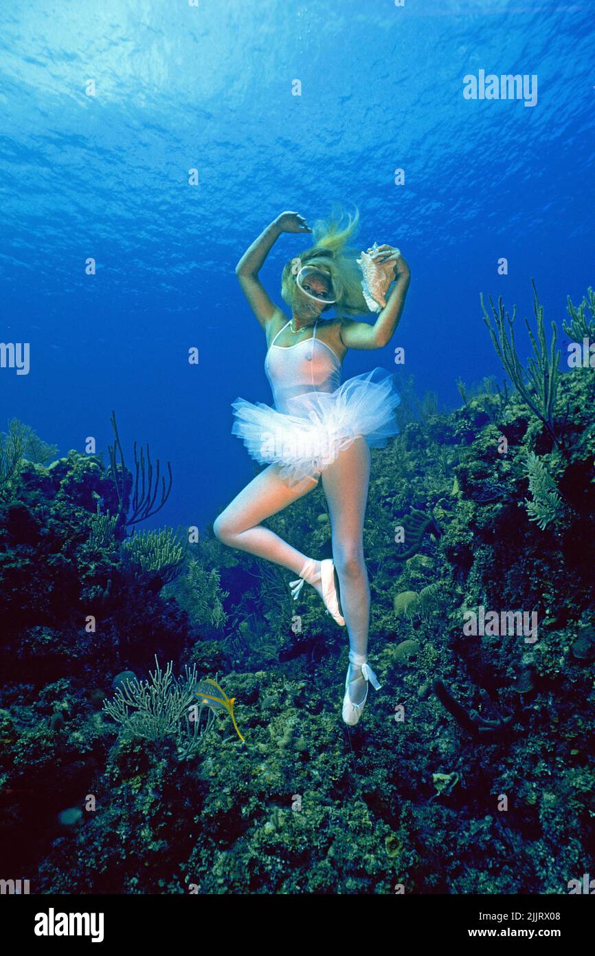 Model-Fotografie, Balletttänzerin (Frau) mit einer Muschel in einem karibischen Korallenriff, Isla de Juventud, Kuba, Karibik Stockfoto