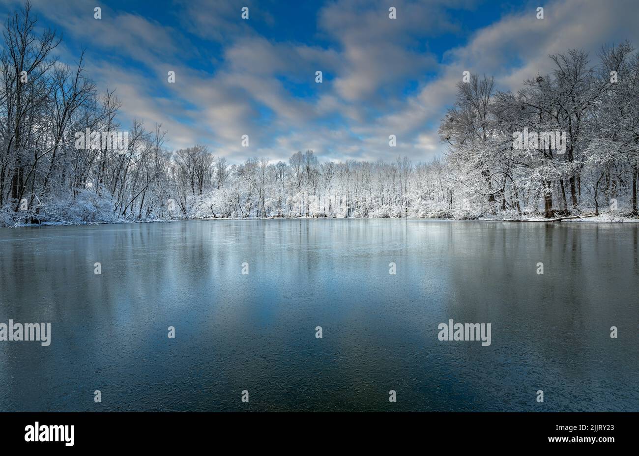 Eine wunderschöne Szene schneebedeckter Bäume, die sich auf dem gefrorenen Caperton Swamp Park, Indian Hills, Kentucky, spiegeln Stockfoto