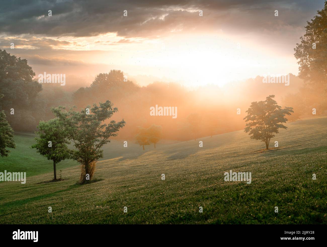 Eine wunderschöne Aussicht auf den Baringer Hill bei nebligen Sonnenaufgängen in Louisville, Kentucky, USA Stockfoto