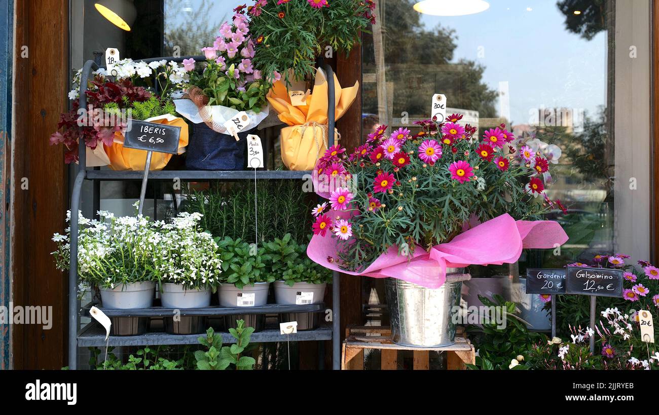 Schöne Blumenarrangements in einem Blumenladen mit Preisen in Euro Stockfoto