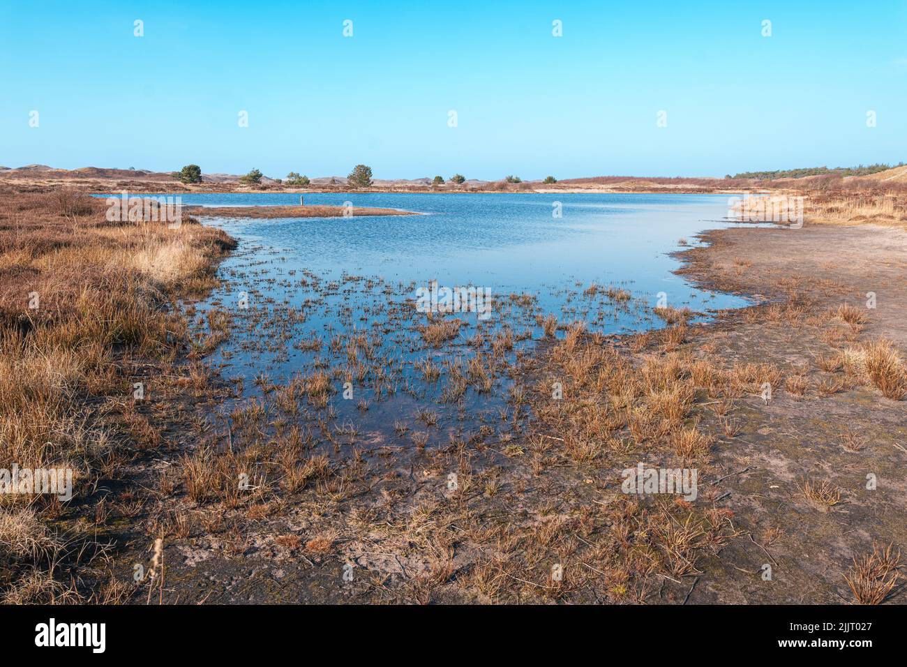 Der Blick auf Little Pond im Nationalpark Duinen van Texel, Texel Island, Niederlande Stockfoto