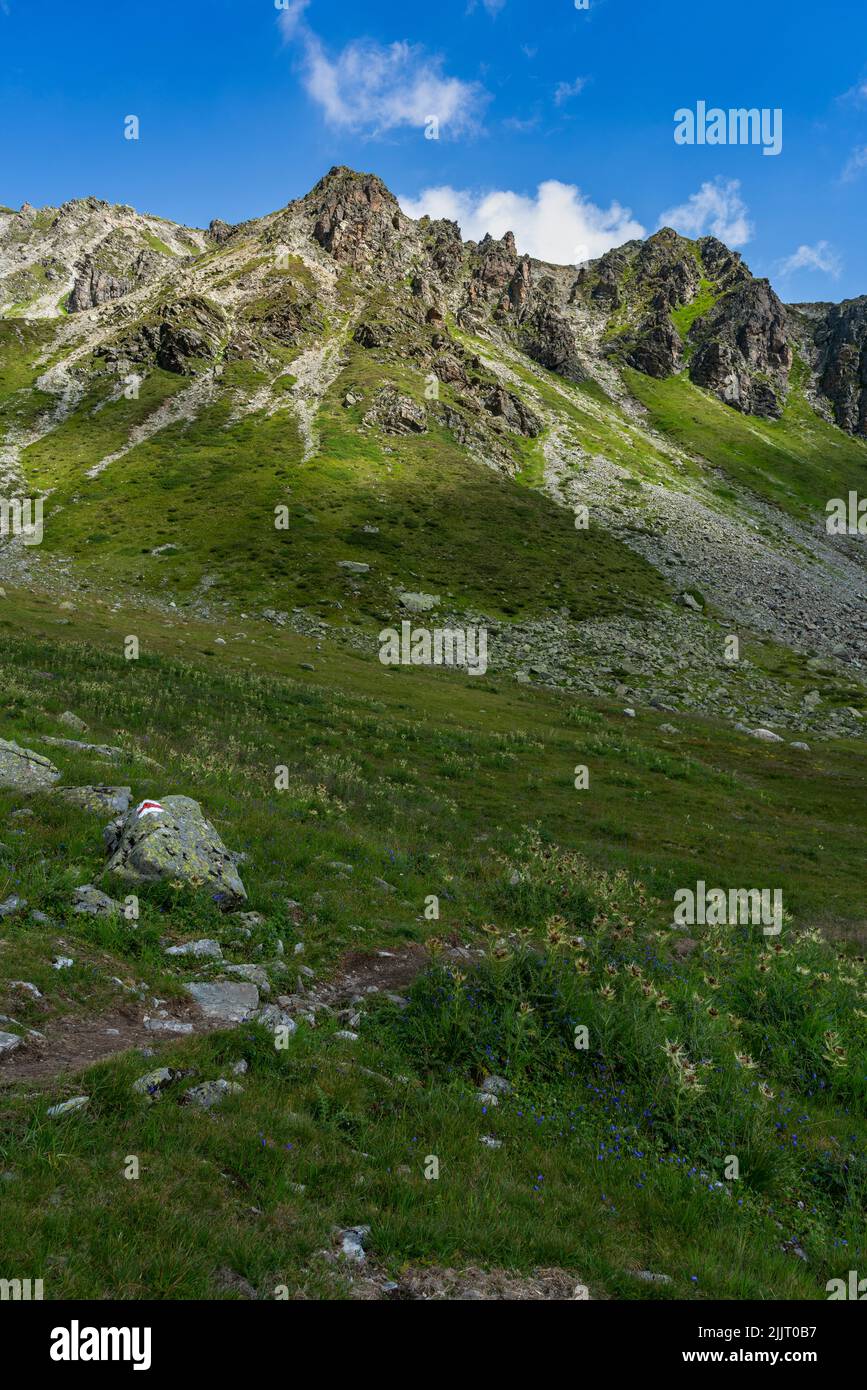 Wanderweg in den österreichischen Alpen, Schmugglerpfad von Gargellen übers Gafierjoch in die Schweiz. Pfad über Alpwiesen, Steine mit Markierungen Stockfoto