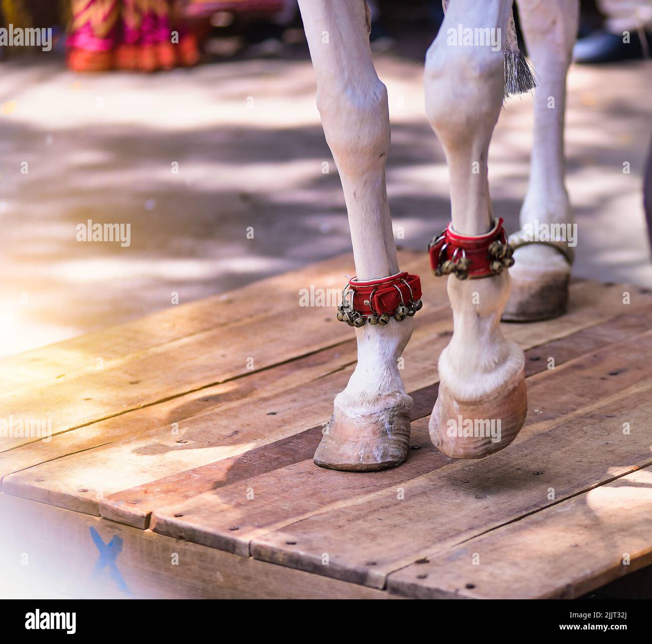 Eine Nahaufnahme der Füße eines weißen Tanzes mit dem indischen klassischen ghungroo Stockfoto Eine Nahaufnahme der Füße eines weißen Tanzes mit dem indischen klassischen ghungroo Stockfoto