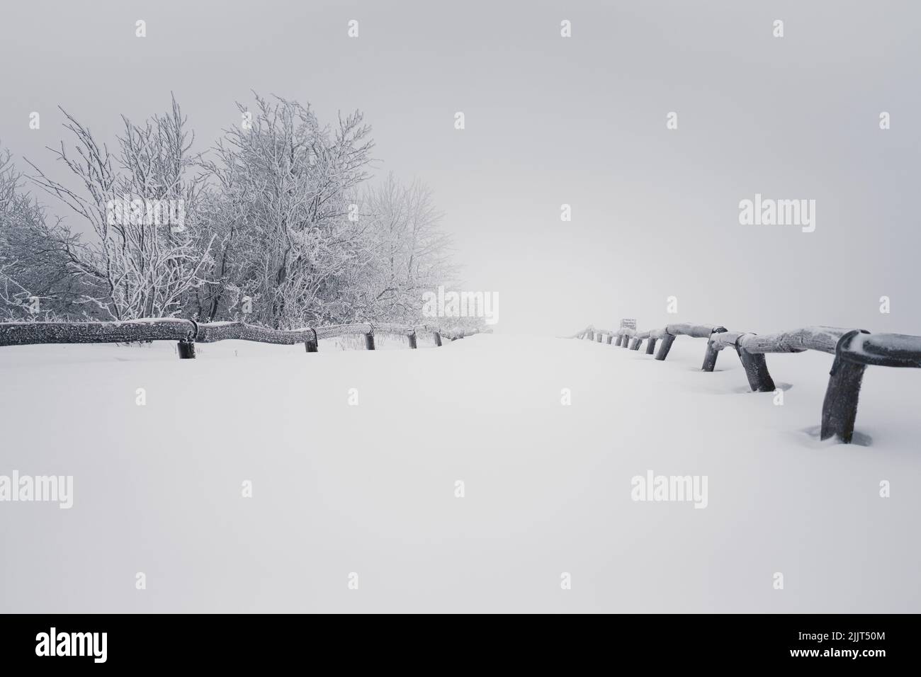 Eine schöne Aussicht auf das Feld komplett mit Schnee bedeckt Stockfoto