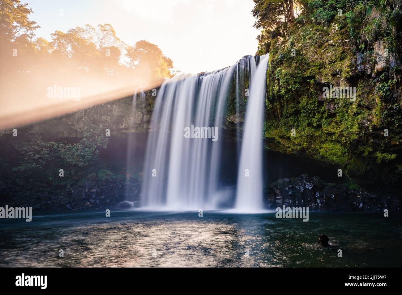 Die atemberaubenden Whangarei Falls in Tikipunka, Neuseeland Stockfoto