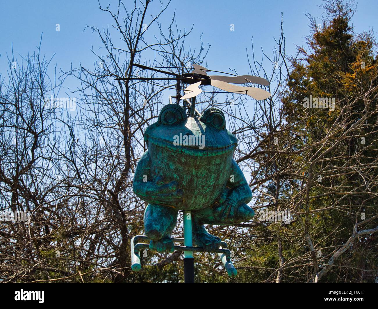 Eine lustige Statue eines Frosches im Overland Park Arboretum, Kansas, USA Stockfoto