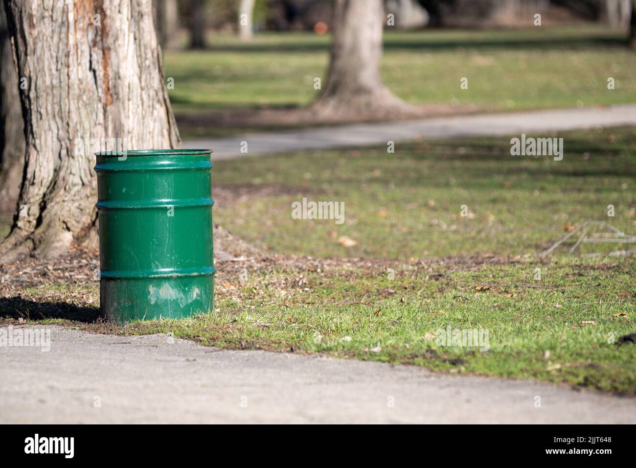 Ein grüner Metallabfallbehälter am Fuße eines Baumes im Park Stockfoto