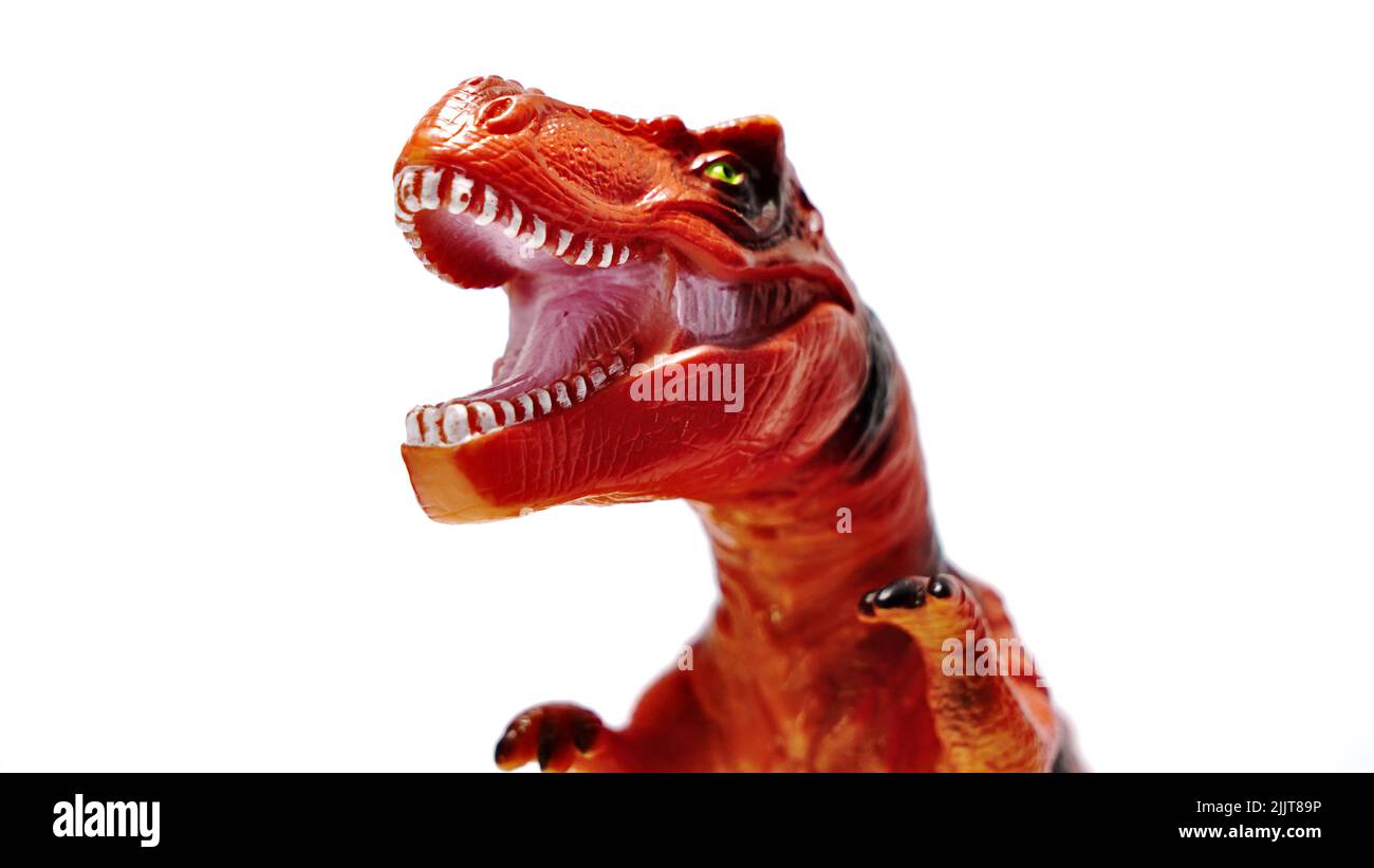 Das Gesicht eines roten Dinosaurier-Spielzeugs isoliert auf weißem Hintergrund Stockfoto
