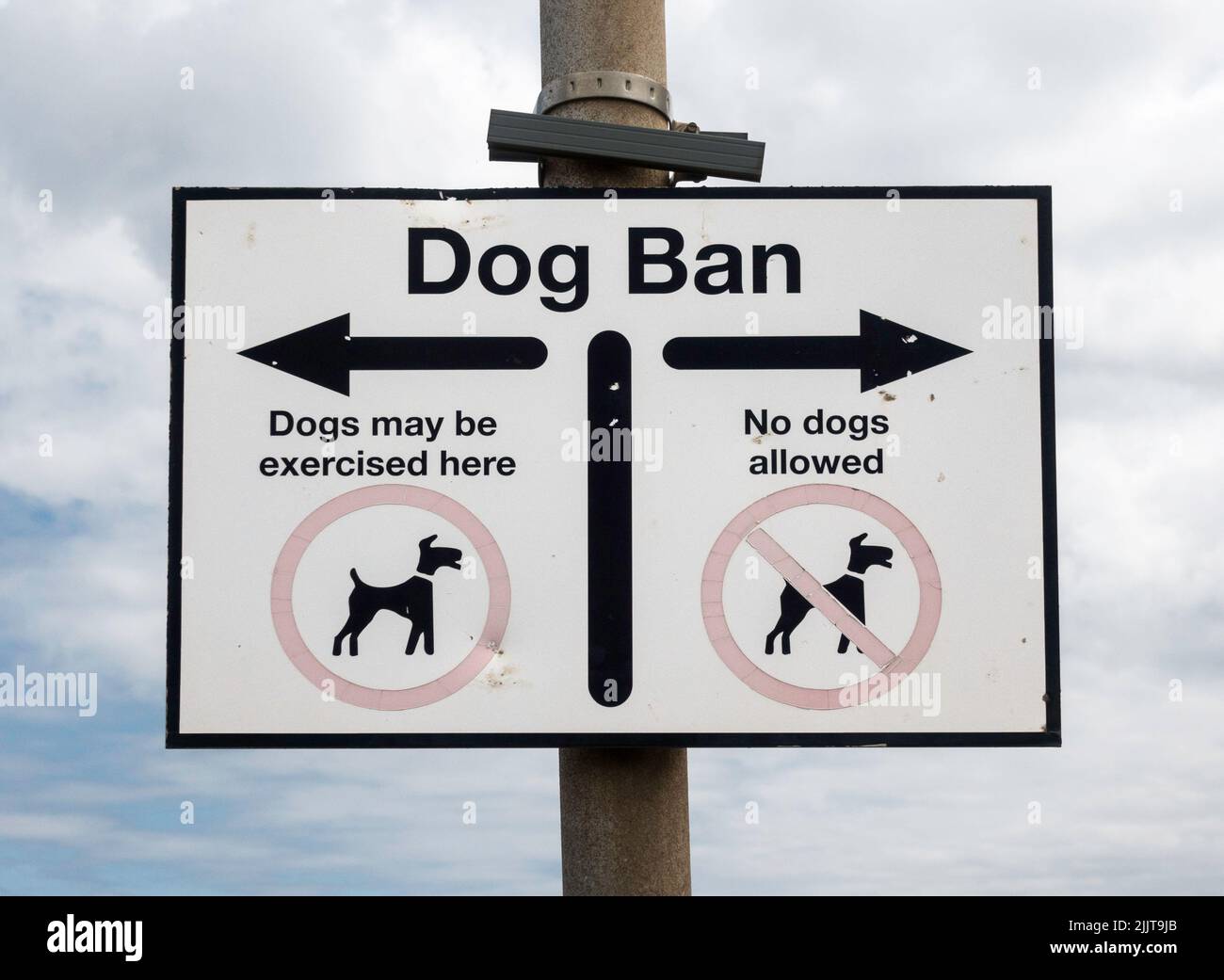 Ein Schild, das die Bereiche des Strandes, in denen Hunde ausgeübt werden können, bezeichnet, Seaton Carew, Hartlepool, England, Großbritannien Stockfoto
