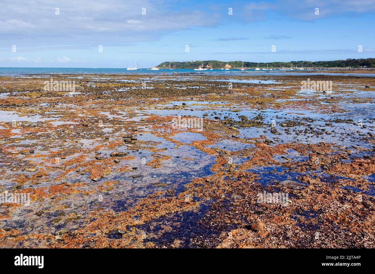 Ebbe am Dodds Creek Beach - Flinders, Victoria, Australien Stockfoto