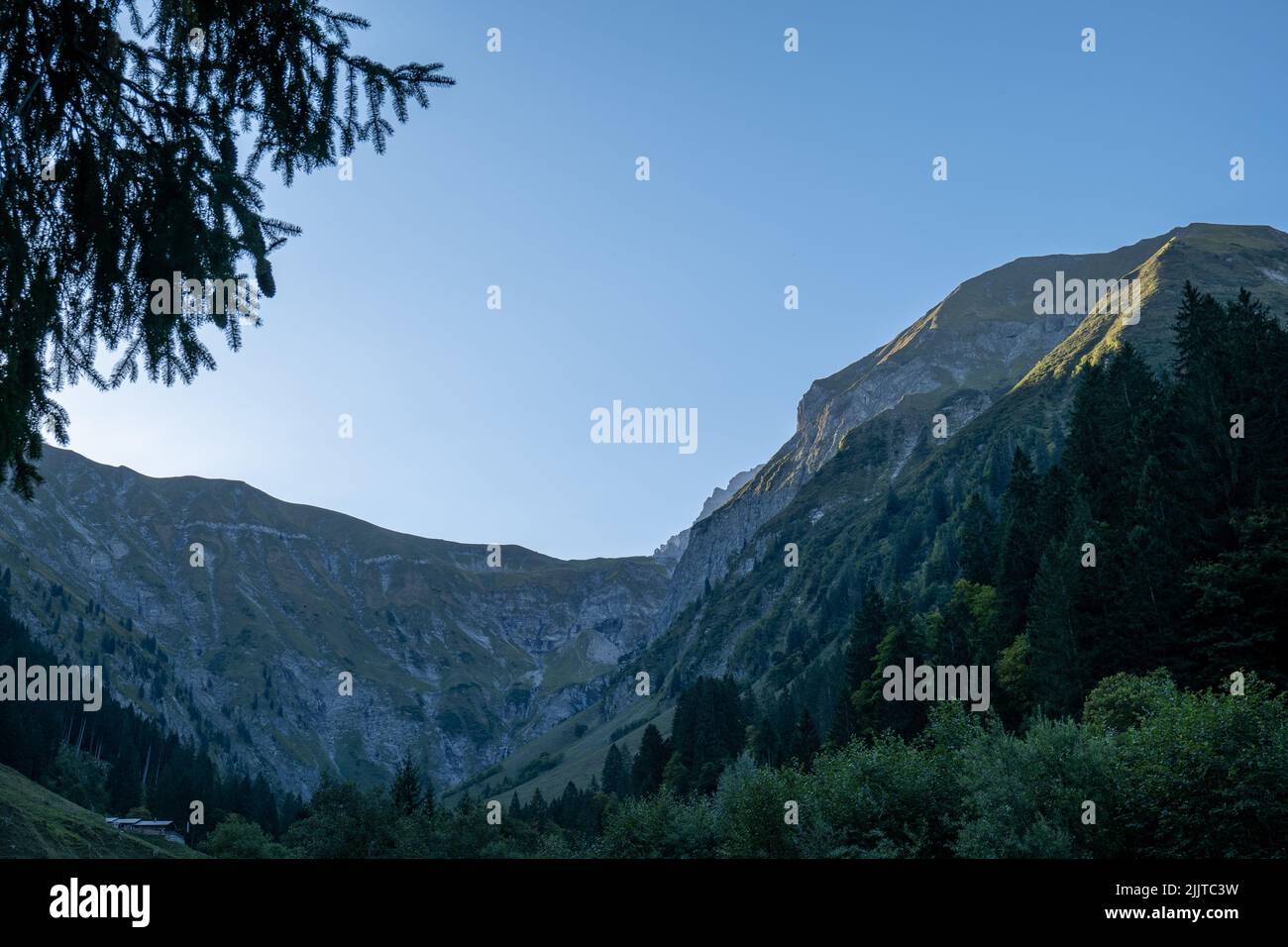 Eine vertikale Aufnahme des Tales, das mit der Morgensonne zu den Allgauer Alpen führt Stockfoto