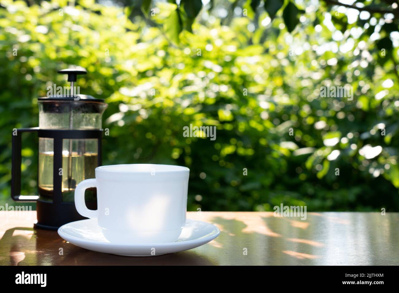 Kräutergetränk vor dem Hintergrund des morgendlichen Sommergartens. Stockfoto