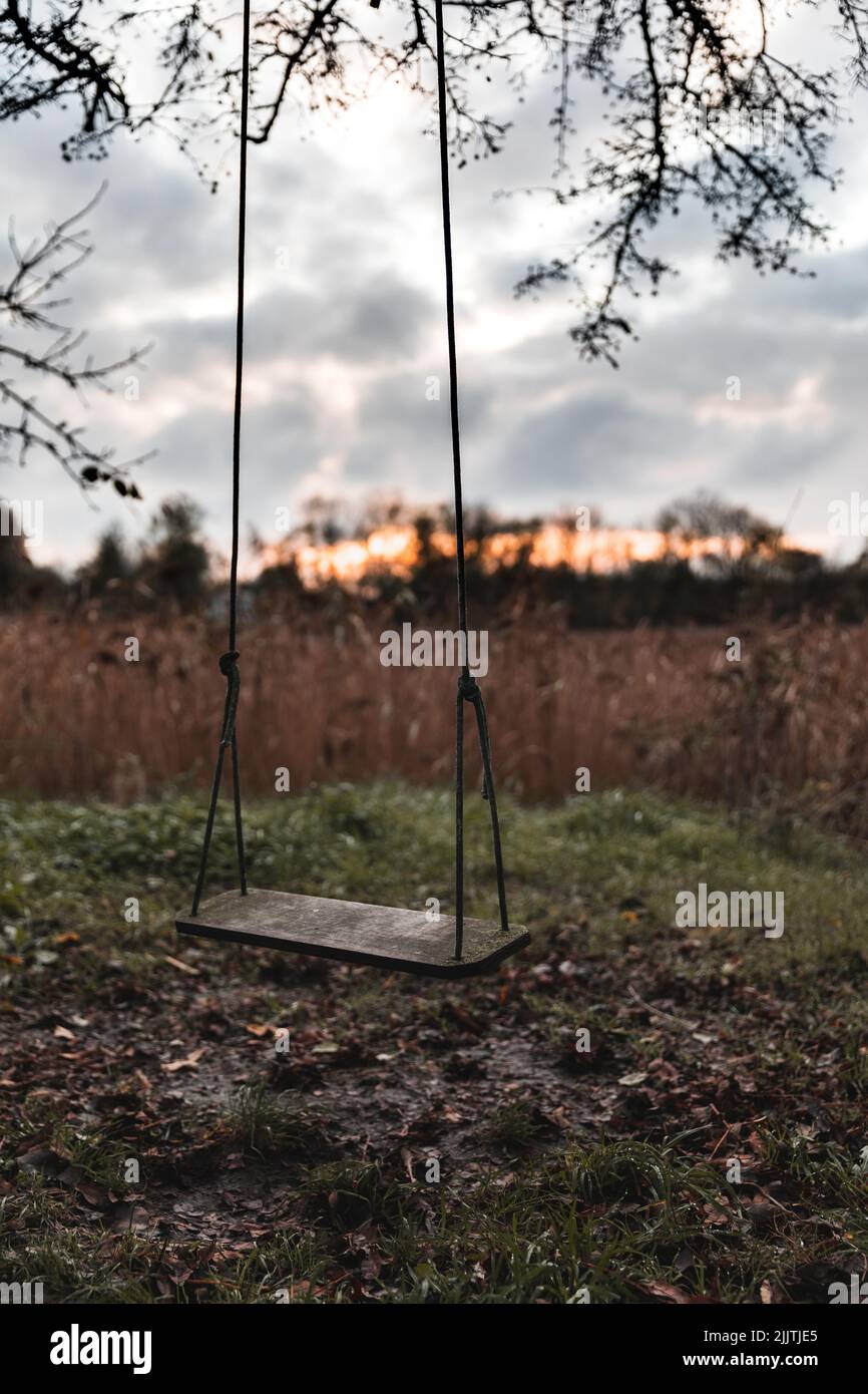 Eine alte verlassene Holzschaukel im Wald Stockfoto