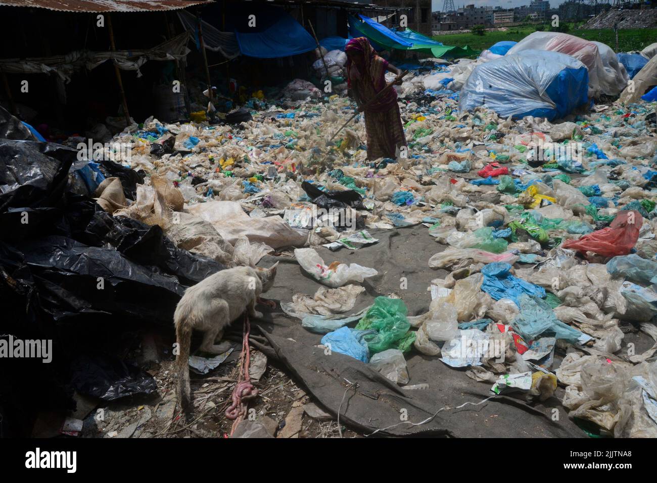 Das Recycling von Kunststoffflaschen hat sich in den letzten Jahren zu einem wachsenden Geschäft entwickelt und trägt zum Schutz der Umwelt bei. Gemäß Stockfoto