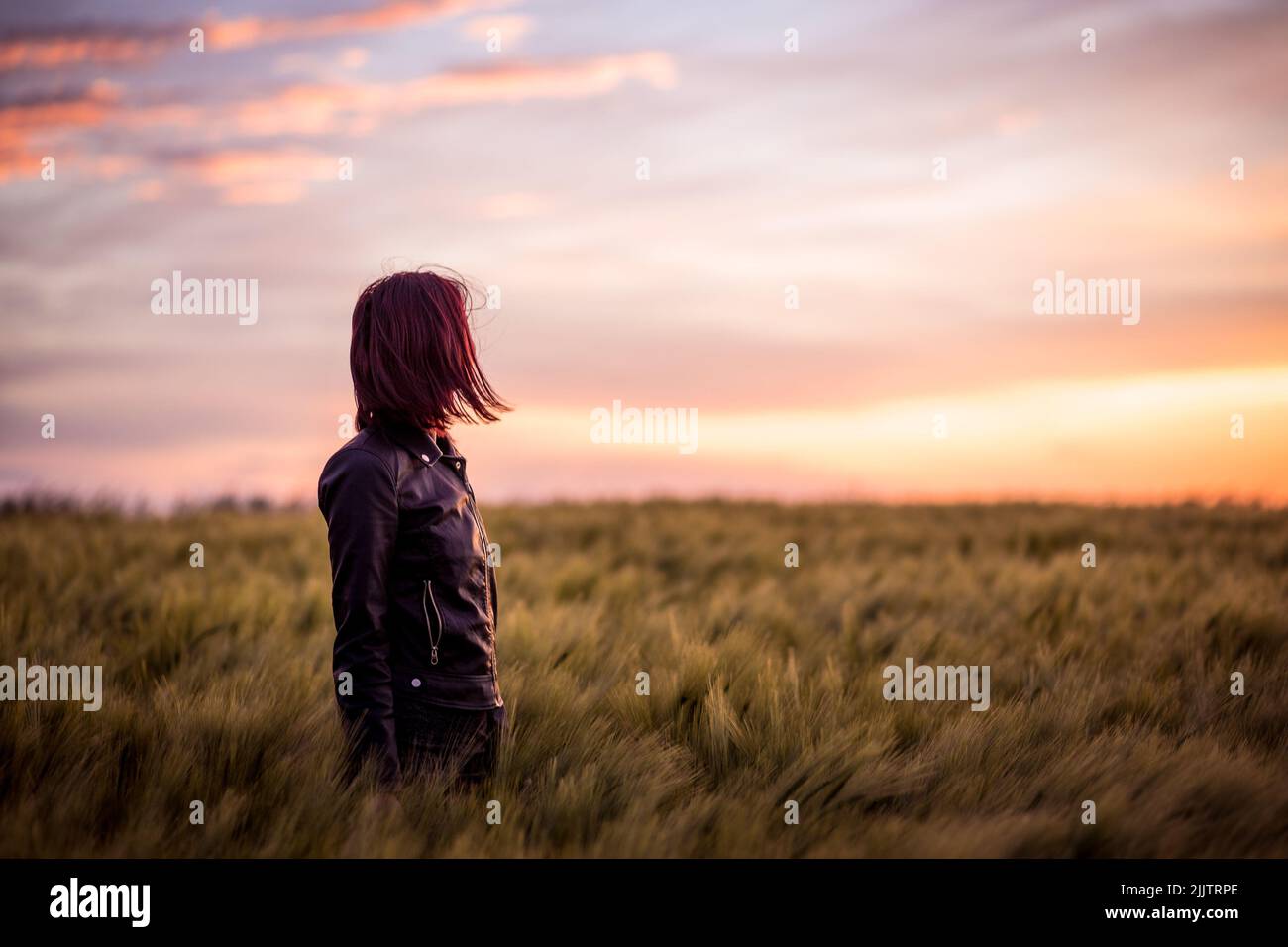 Die junge Frau in einer Lederjacke steht im grünen Feld und genießt den schönen Sonnenuntergang. Stockfoto