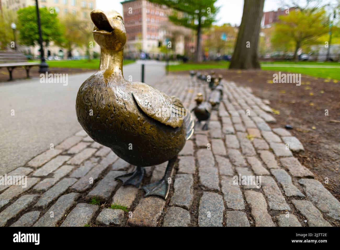 Statuen von Mutter Ente und ihren Entenküken, Geschichte aus Kinderbilderbüchern, geschrieben und illustriert von Robert McCloskey „Made way for Ducklings“. Nach Boston. Stockfoto