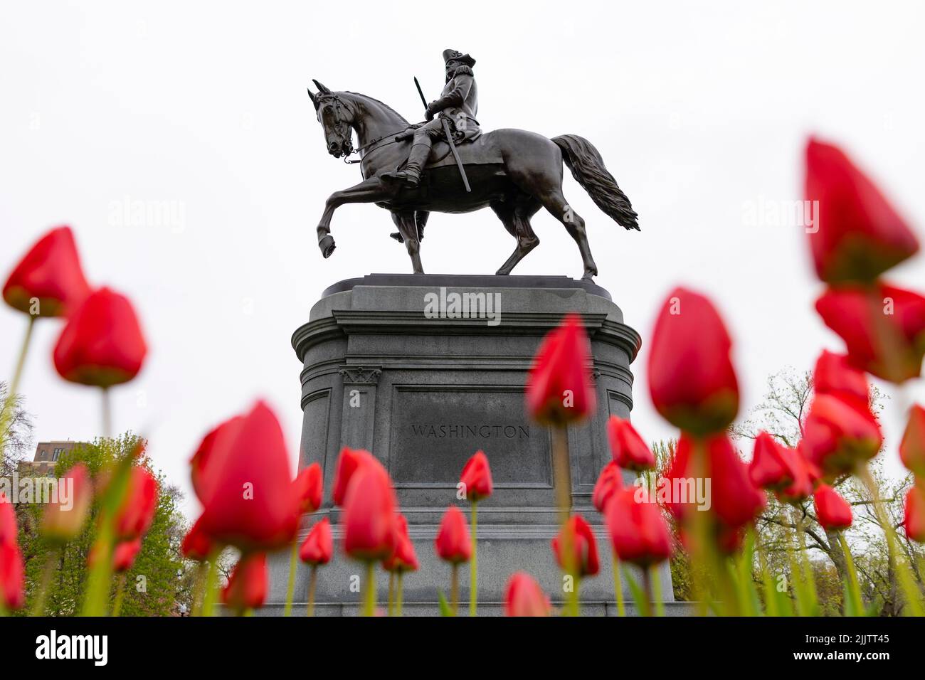 Reiterstatue von George Washington mit roten Tulpen im Vordergrund. Boston Public Garden, Boston, Massachusetts, Usa. Stockfoto