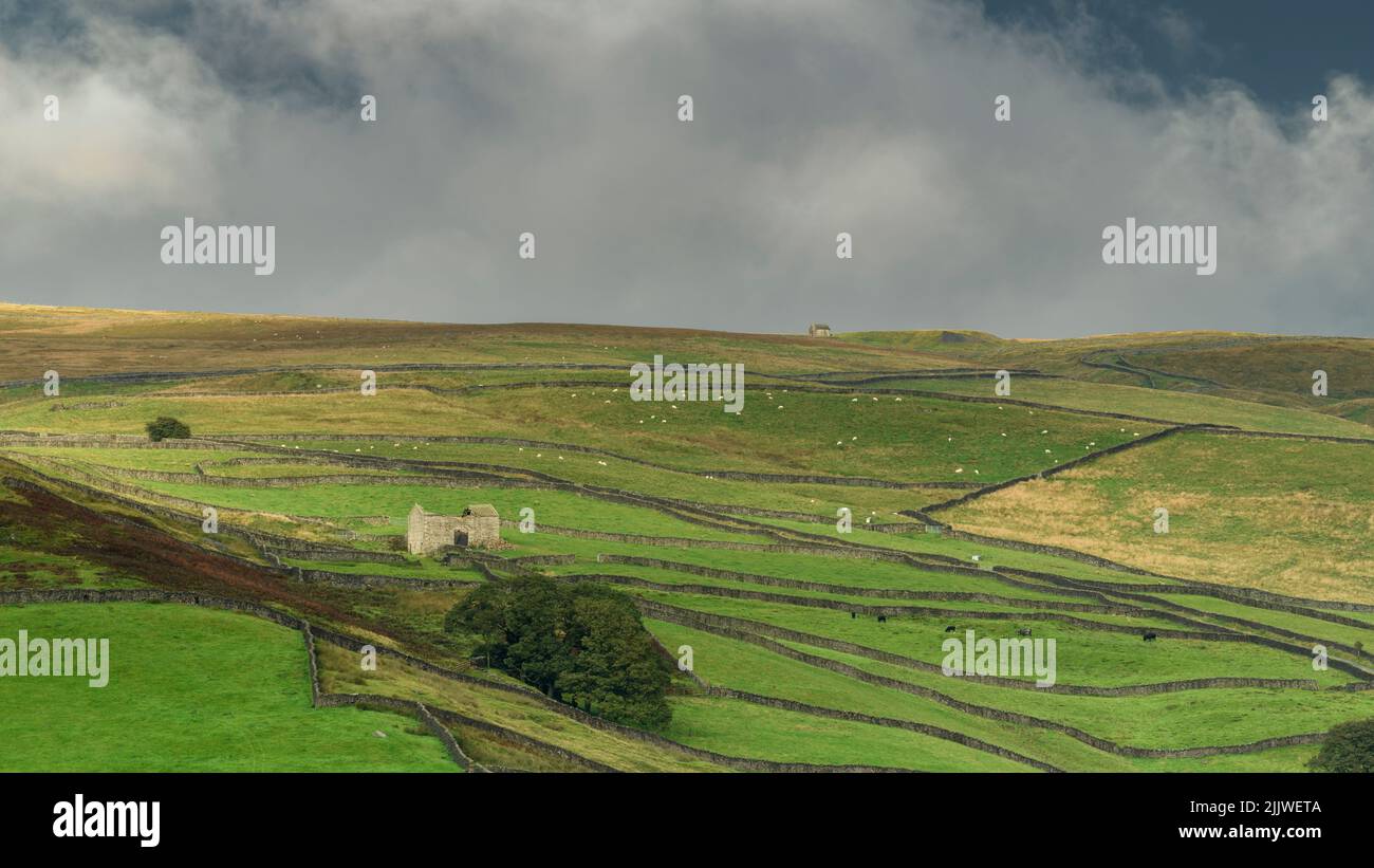 Malerische ländliche Wharfedale-Landschaft (hohe Hochebenen, steiler Talhang, isolierte, abgelegene Ruine, wolkiger Himmel) - Barden, North Yorkshire, England, Großbritannien. Stockfoto