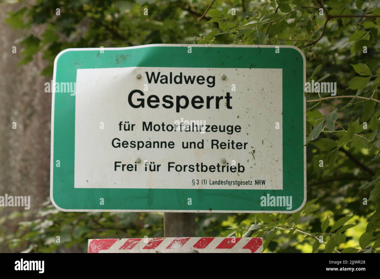Ein deutsches Straßenschild, das erklärt: Wald. Keine motorisierten Fahrzeuge Stockfoto