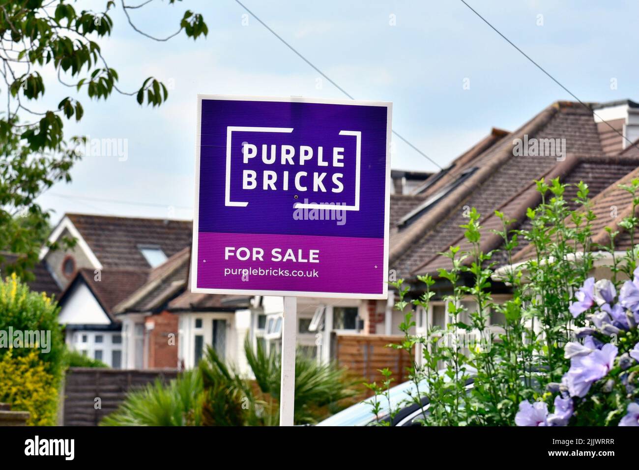 Ein 'Purple Bricks' Online-Immobilienmakler zum Verkauf Zeichen vor einem Vorstadthaus in Shepperton Surrey UK Stockfoto