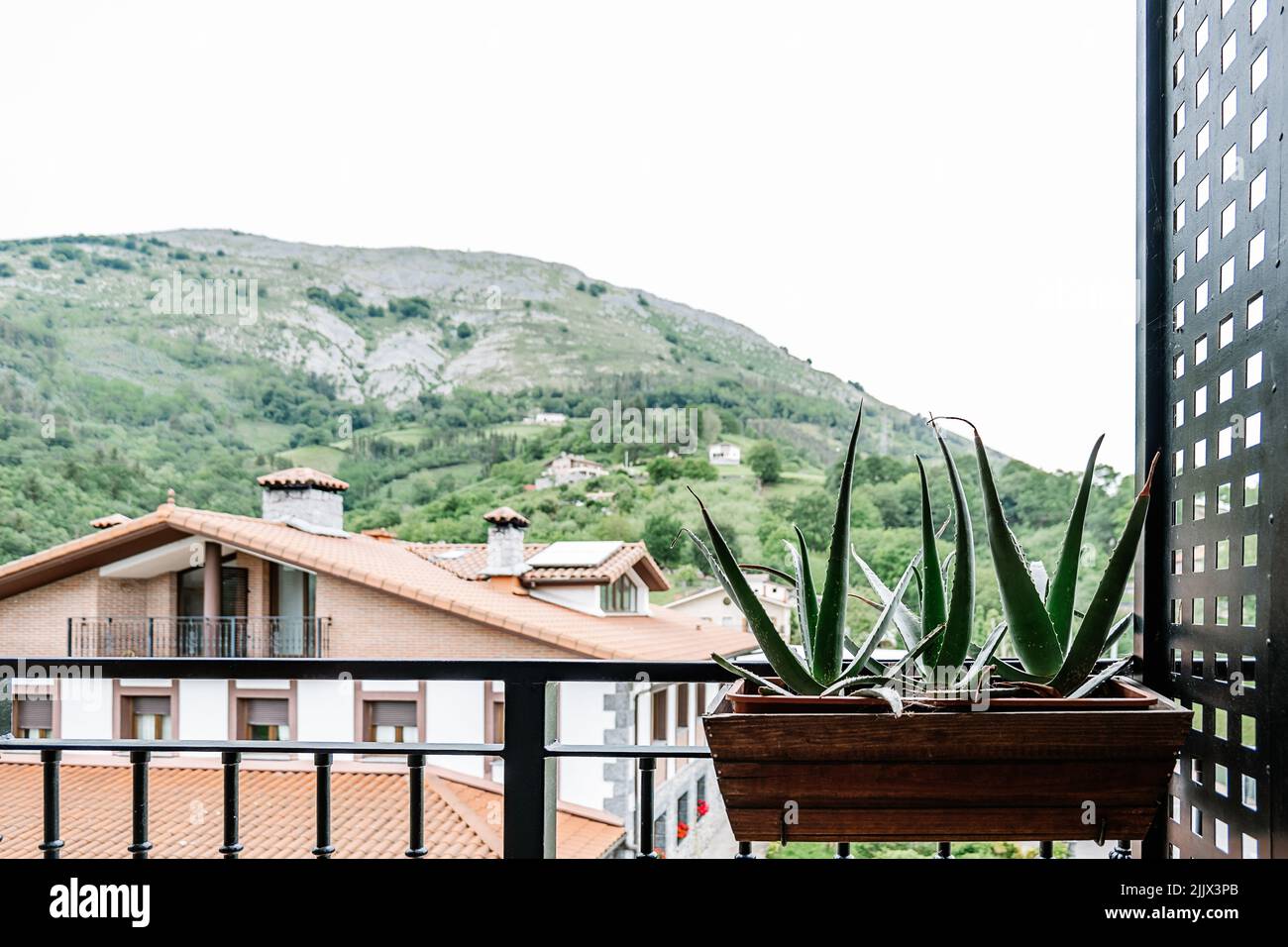Frische Aloe Vera Pflanze wächst in Holztopf hängen auf Metallgeländer auf Balkon des modernen Wohnhauses in bergigen Landschaft Stockfoto